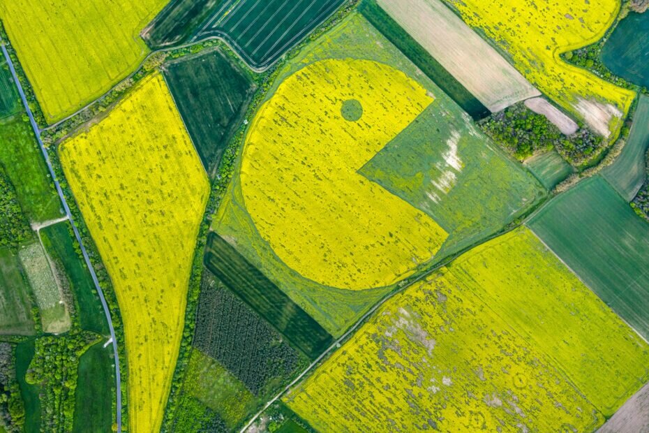 Group of artists cut giant Pac-Man out of rapeseed to protest against Prime Minister